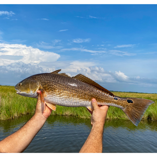 The Ultimate Guide to Summertime Inshore Fishing and What to Wear