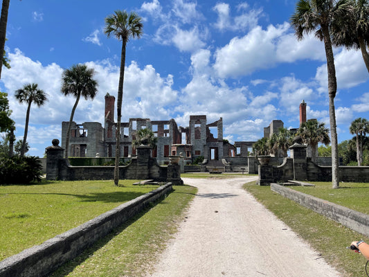 Exploring the Wild Beauty of Cumberland Island National Seashore