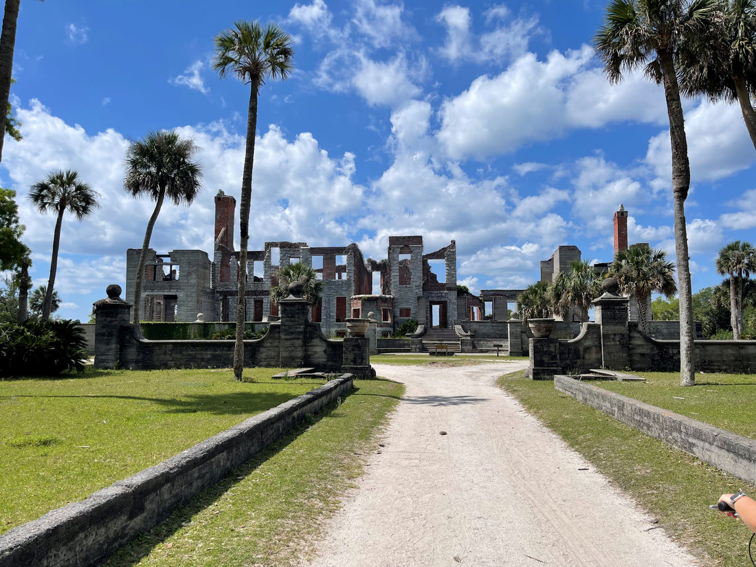 Exploring the Wild Beauty of Cumberland Island National Seashore